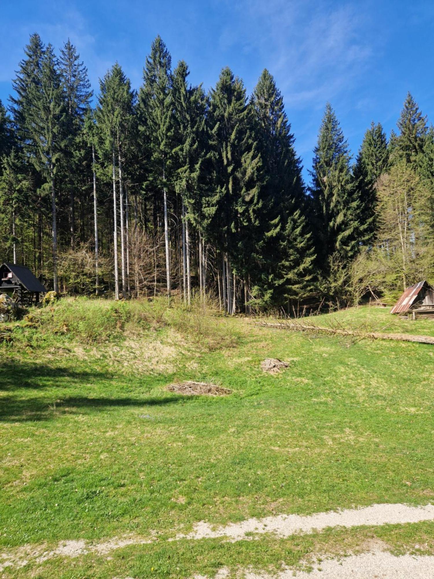 Apartment Koca V Gozdu, Forest House Near Bled