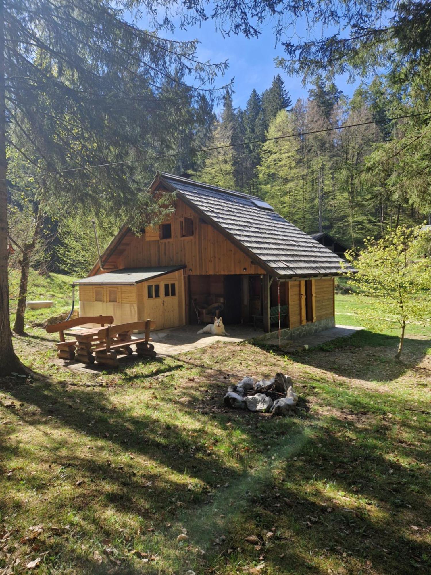 Koca V Gozdu, Forest House Near