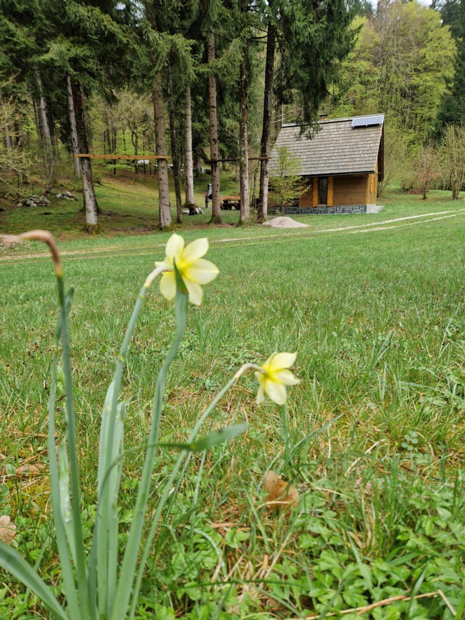Koca V Gozdu, Forest House Near